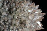 Reddish-Brown Dogtooth Calcite Cluster - Mexico #80240-2